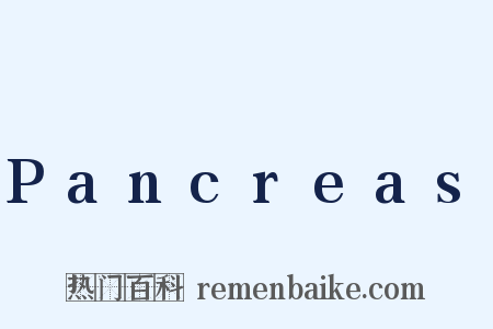 Pancreas是什么意思的图片